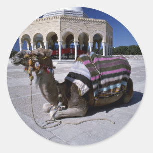 Camel resting in front of dome, Monastir, Tunisia Classic Round Sticker