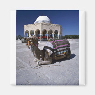 Camel resting in front of dome, Monastir, Tunisia Magnet