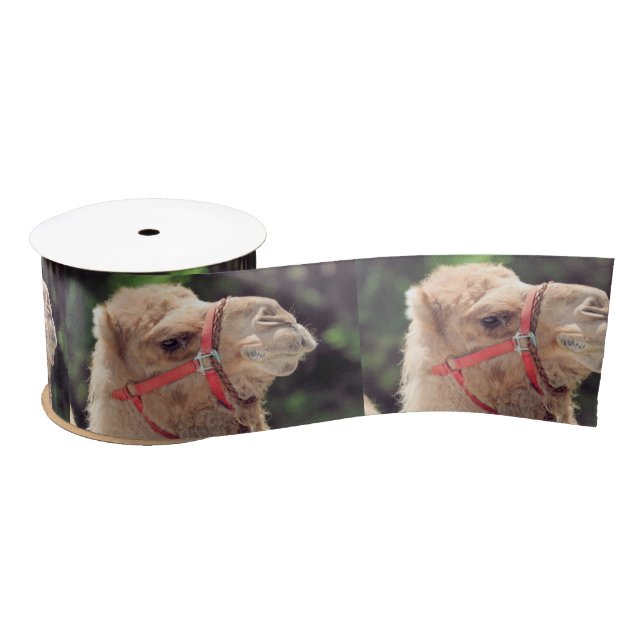 Camel ribbon satin ribbon (Spool)