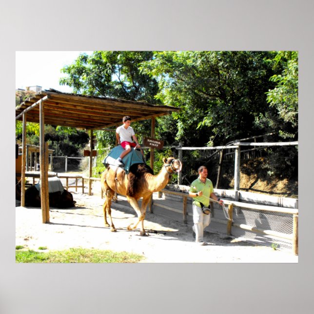 Camel ride poster (Front)
