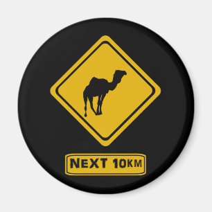 camel road sign magnet