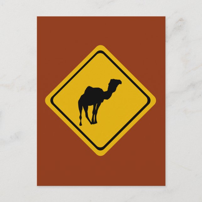 camel road sign postcard (Front)