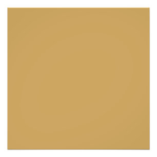Camel-  shade of brown (solid colour)  photo print