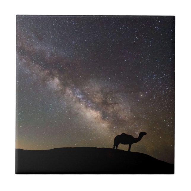 Camel Silhouette and Milkyway Ceramic Tile (Front)