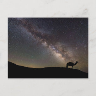 Camel Silhouette and Milkyway Postcard
