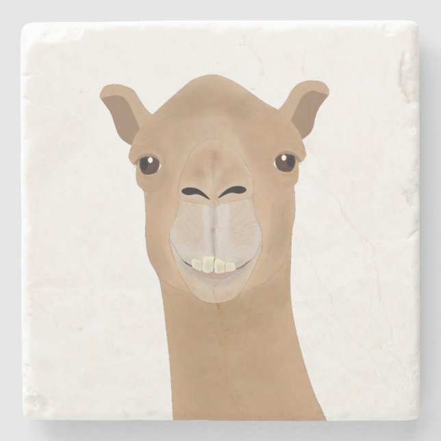 Camel Stone Coaster (Front)
