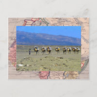 Camel train crossing the Sahara desert