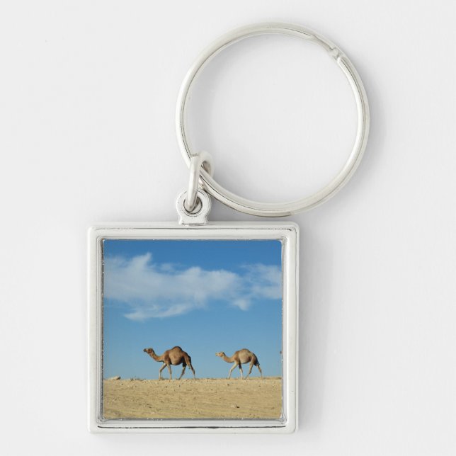 Camel train key ring (Front)