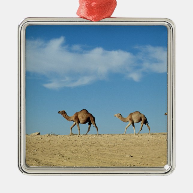 Camel train metal tree decoration (Front)