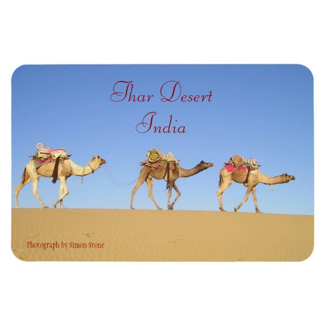 Camel Train, Thar Desert Magnet (Horizontal)
