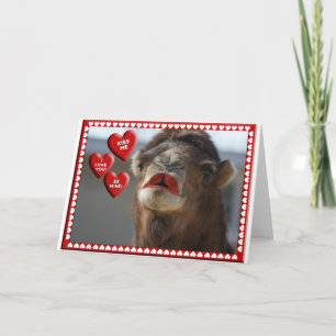 CAMEL VALENTINE - WEARING LIPSTICK - KISS ME! HOLIDAY CARD