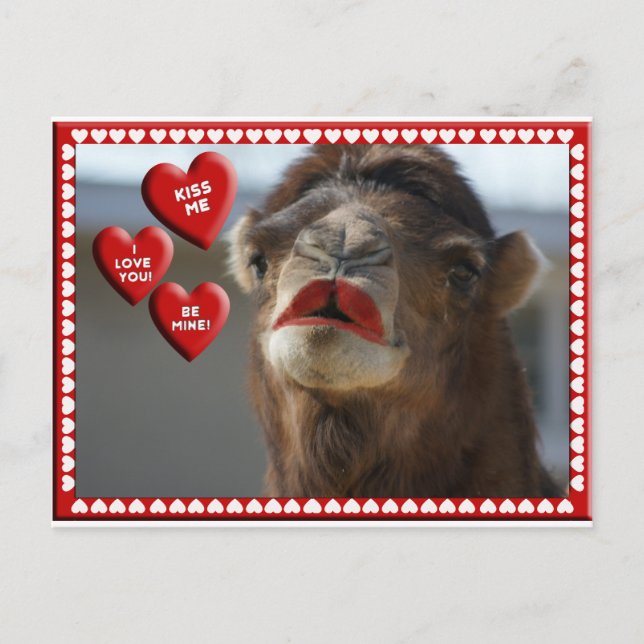 CAMEL VALENTINE - WEARING LIPSTICK - KISS ME! HOLIDAY POSTCARD (Front)