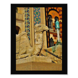 Camel View Photo Print