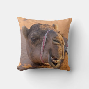 Camel with a funny facial expression - Oman Cushion