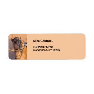 Camel with a funny facial expression - Oman Return Address Label
