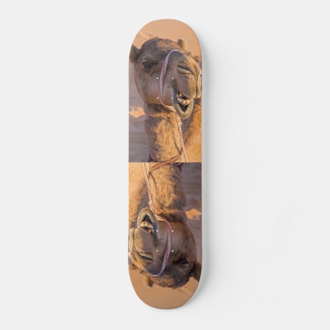 Camel with a funny facial expression - Oman Skateboard (Front)