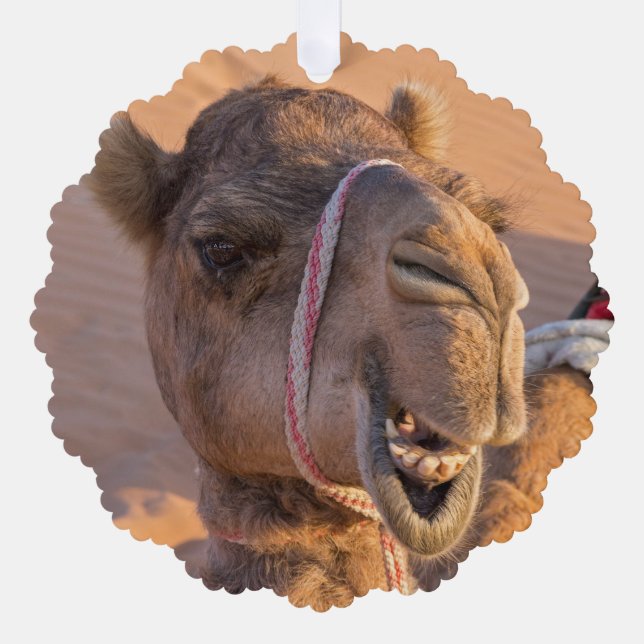 Camel with a funny facial expression - Oman Tree Decoration Card (Front)