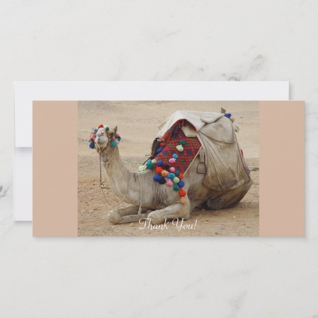 Camel with Colourful Pom-Poms Thank You Card (Front)