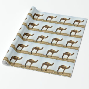 Camel Wrapping Paper