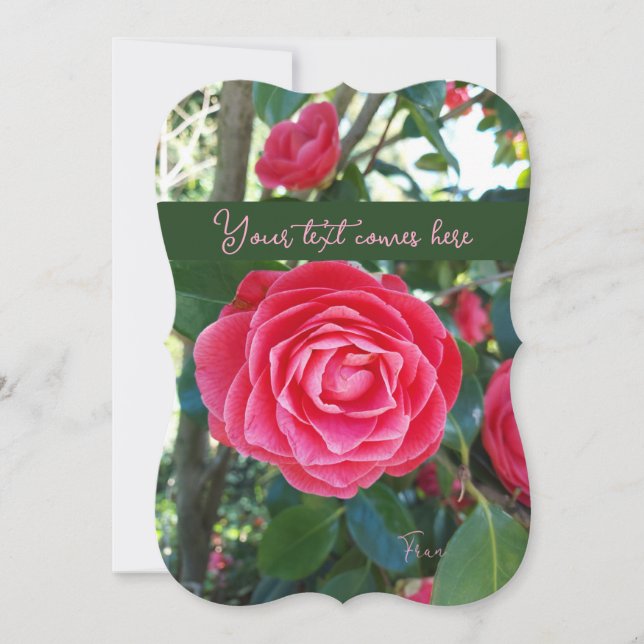 camelia card (Front)