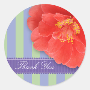 Camelia & Stripes with Ribbon: Pink Classic Round Sticker