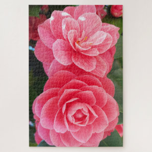 camelias jigsaw puzzle