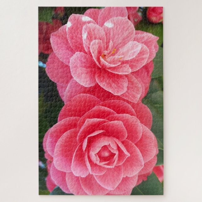 camelias jigsaw puzzle (Vertical)