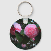 Camelias