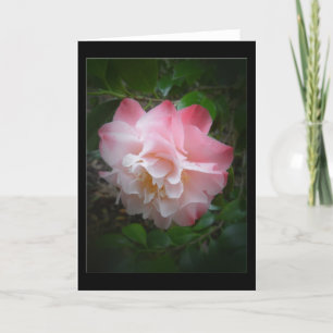 Camellia Blank Greeting Card