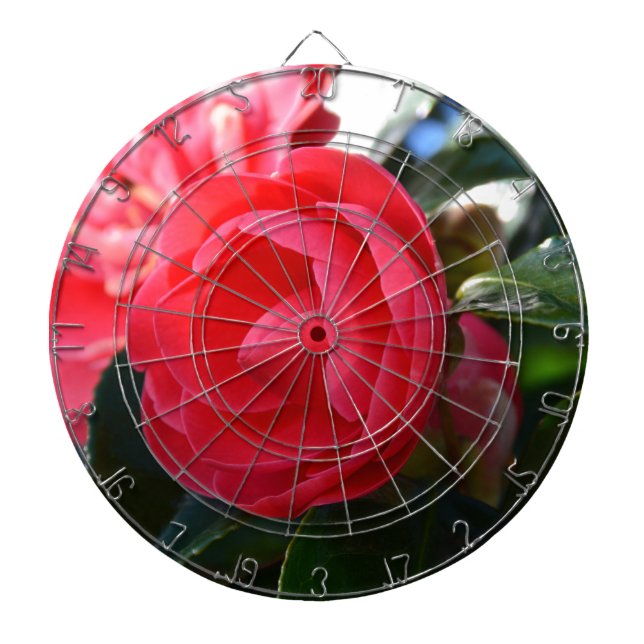 Camellia Blossom Dartboard (Front)