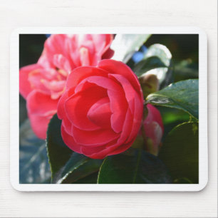 Camellia Blossom Mouse Pad