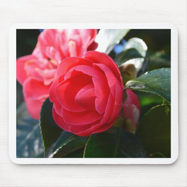 Camellia Blossom Mouse Pad (Front)