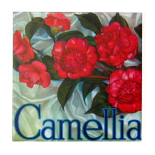 Camellia Brand Orange Label Ceramic Tile