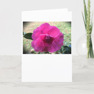 Camellia, card