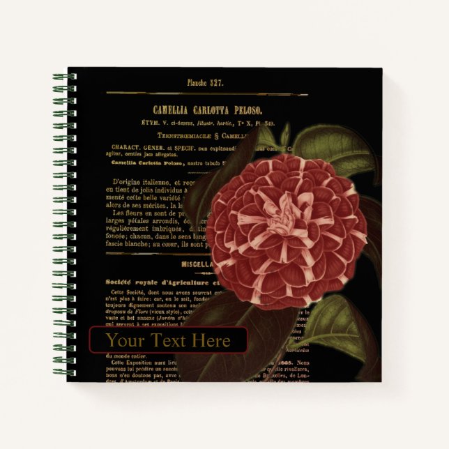Camellia Carlotta Peloso Black Notebook (Front)