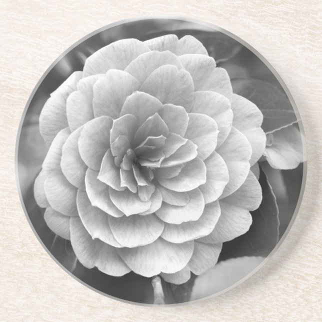 Camellia Coaster (Front)
