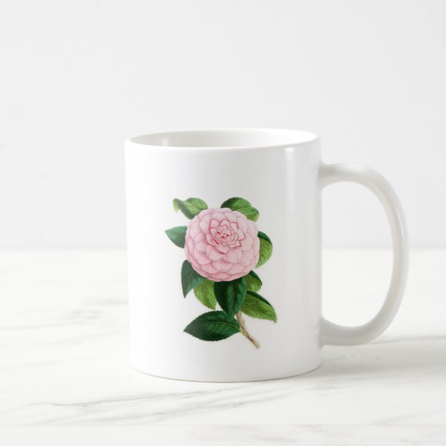 Camellia, Duchesse De Nassau Coffee Mug (Right)