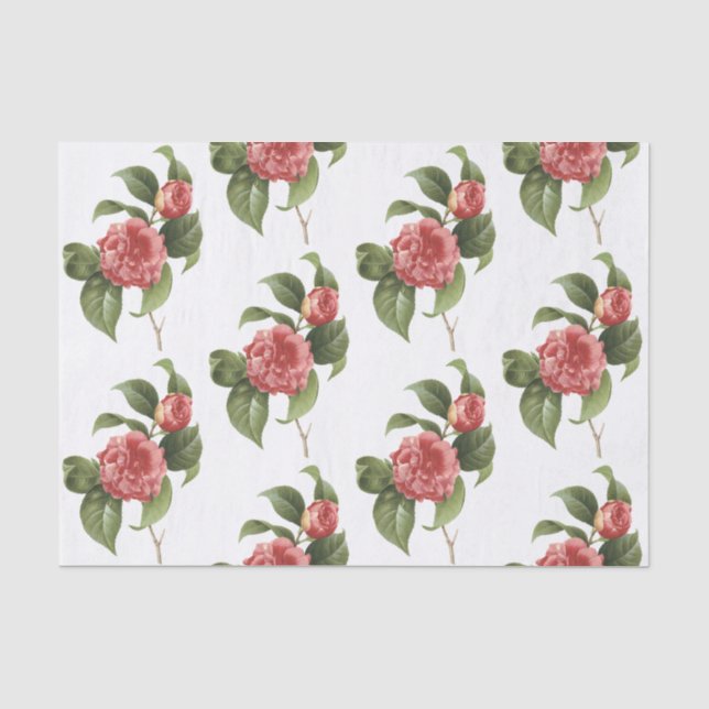 Camellia Flower Pattern Tissue Paper (Front)
