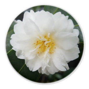 Camellia Flower Round Ceramic Knob