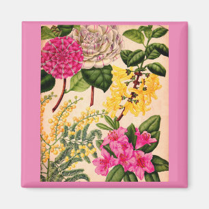 camellia, forsythia, rhododendron and acacia magnet