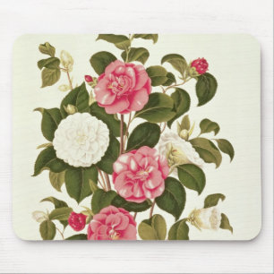 Camellia  from "A Monograph on the Genus' Mouse Pad
