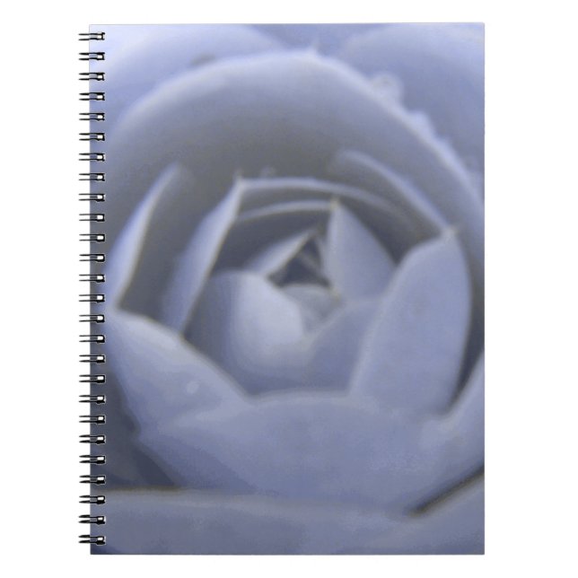 Camellia Frozen Beauty Notebook (Front)