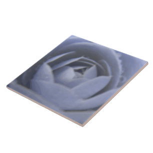 Camellia Frozen Beauty Tile