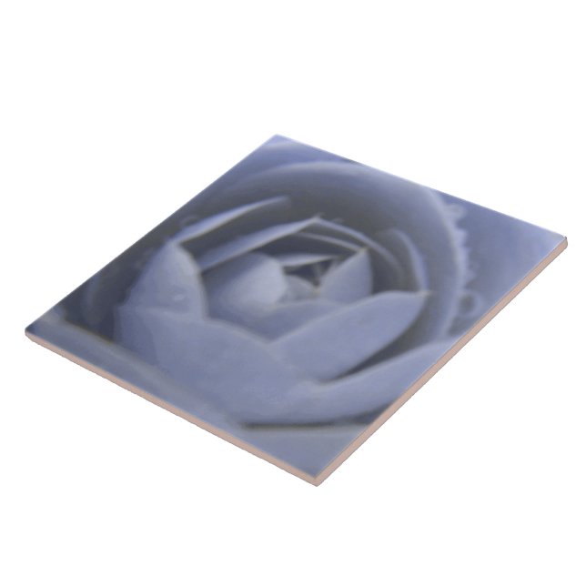 Camellia Frozen Beauty Tile (Side)