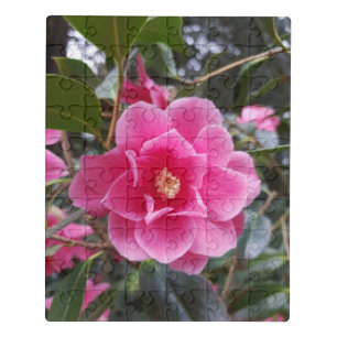 Camellia in the Park Jigsaw Puzzle