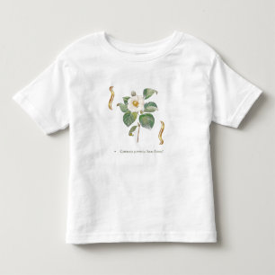 Camellia japonica 'Alba Plena' is a cultivar known Toddler T-Shirt