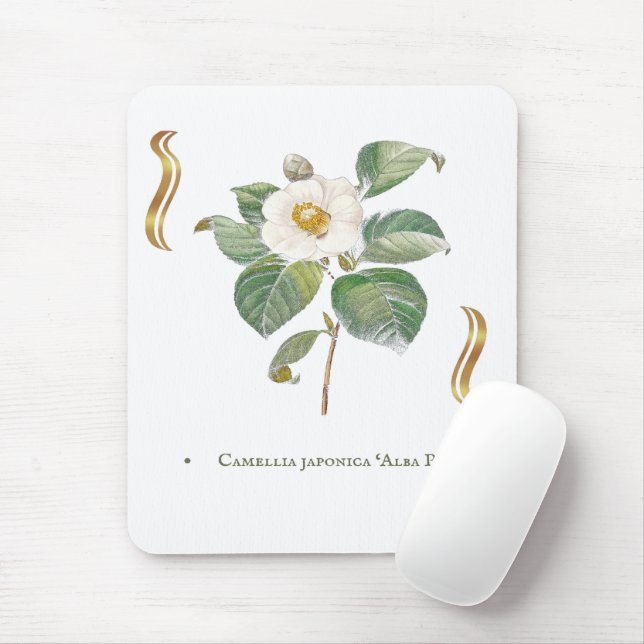 Camellia japonica 'Alba Plena' is a cultivar of th Mouse Pad (With Mouse)