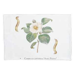 Camellia japonica 'Alba Plena' is a cultivar of th Pillowcase