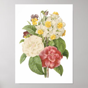 camellia, narcissus, pansy by Redouté Poster