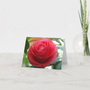 Camellia Notecard